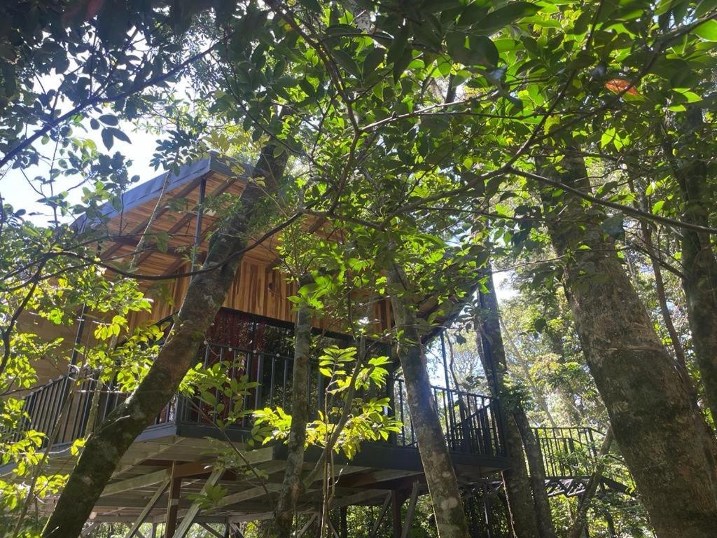Cabanas Roca Verde Monteverde エクステリア 写真