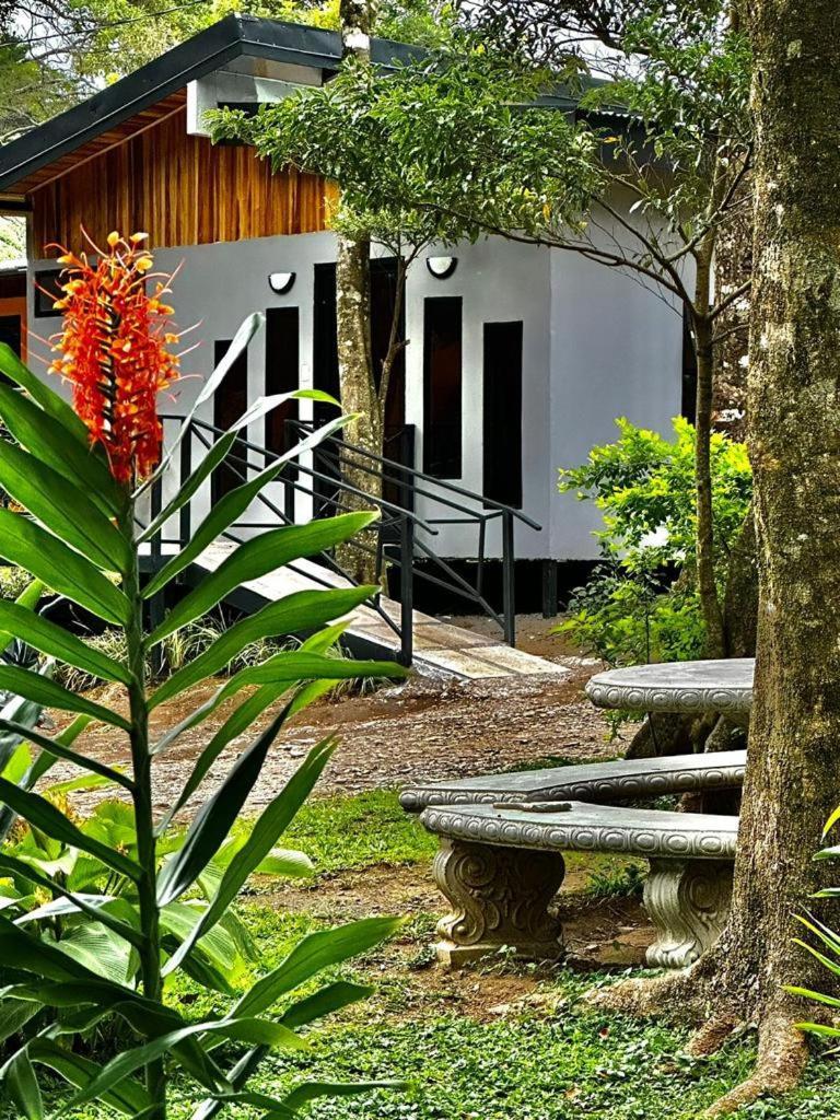 Cabanas Roca Verde Monteverde エクステリア 写真