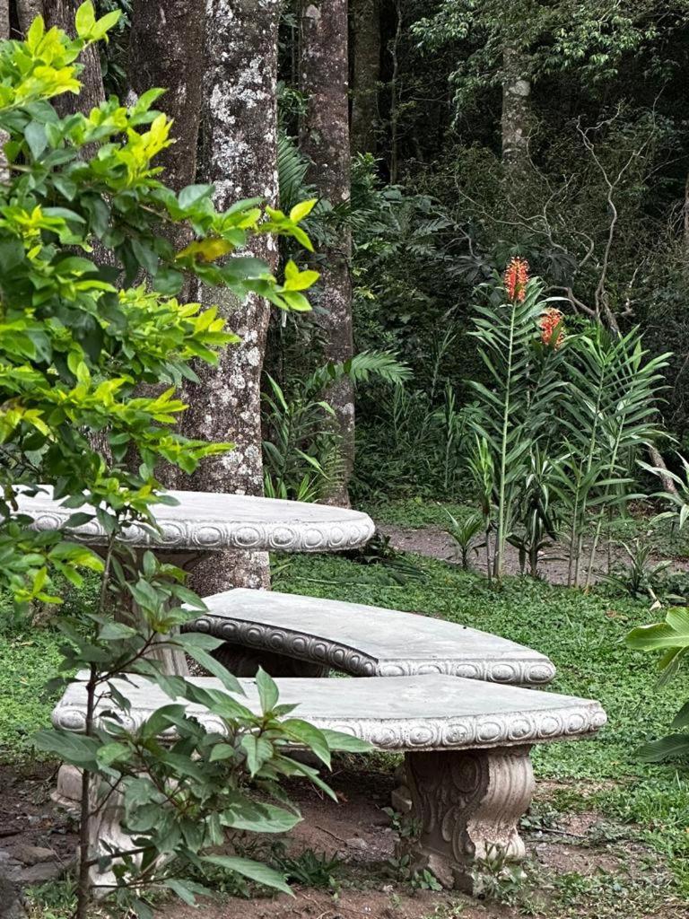 Cabanas Roca Verde Monteverde エクステリア 写真