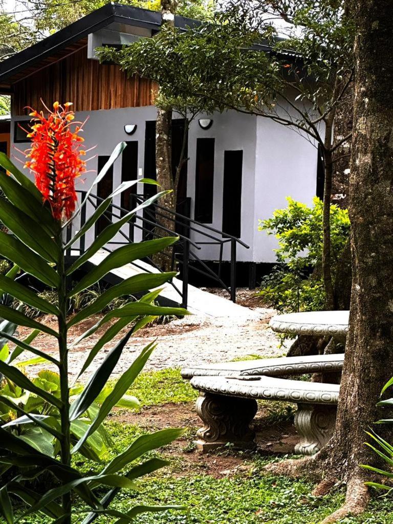 Cabanas Roca Verde Monteverde エクステリア 写真