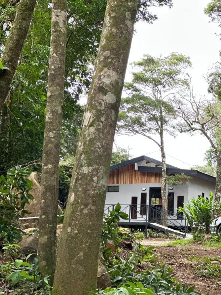 Cabanas Roca Verde Monteverde エクステリア 写真