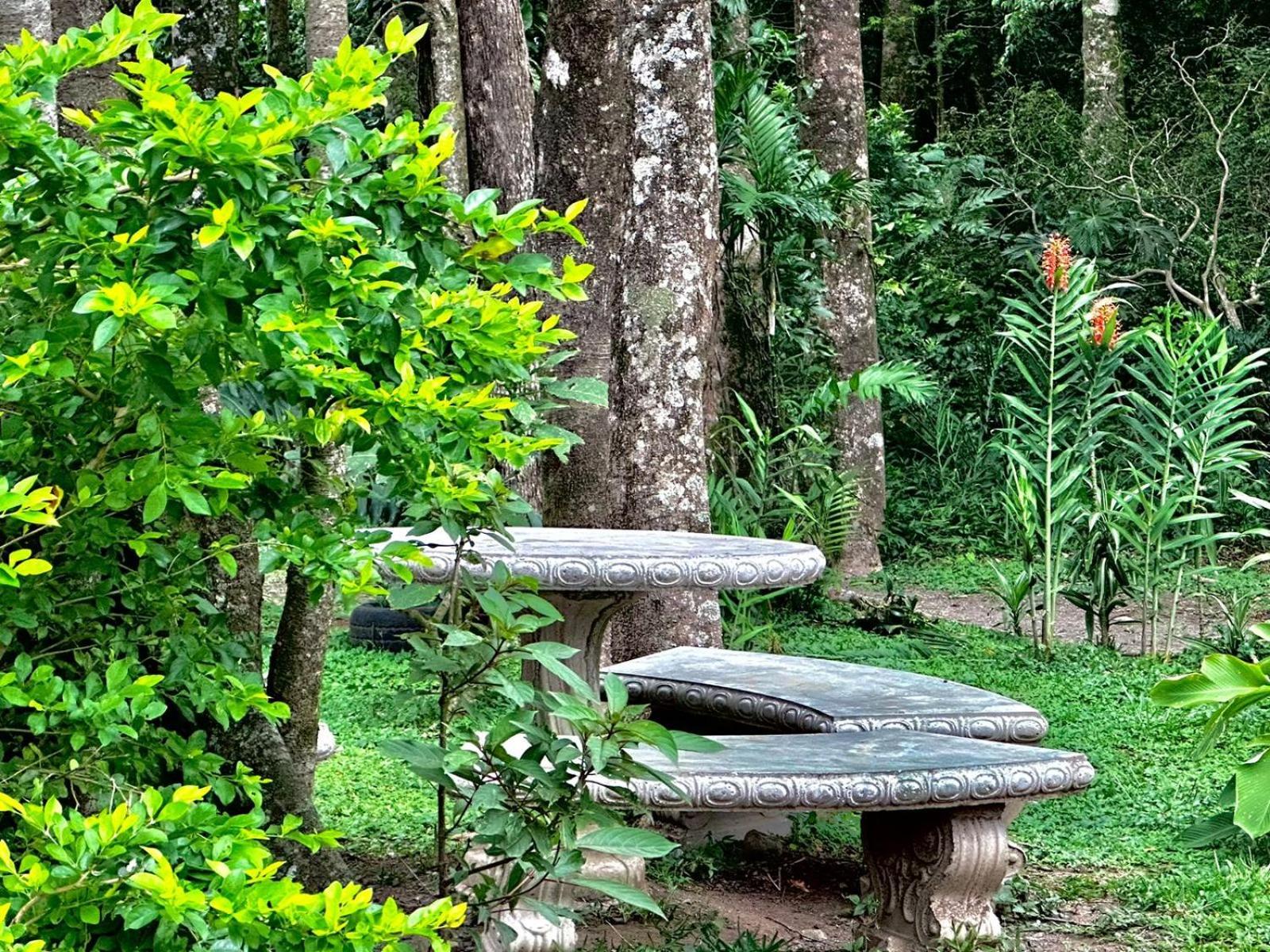 Cabanas Roca Verde Monteverde エクステリア 写真